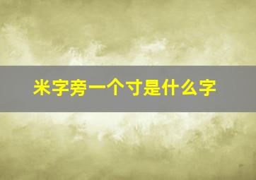 米字旁一个寸是什么字