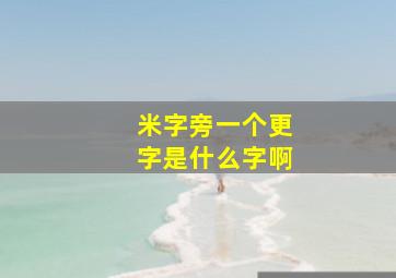 米字旁一个更字是什么字啊