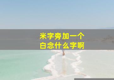 米字旁加一个白念什么字啊