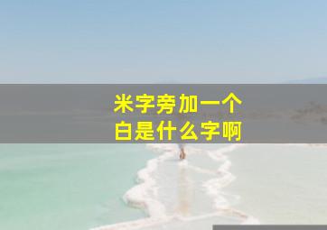 米字旁加一个白是什么字啊