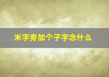 米字旁加个子字念什么