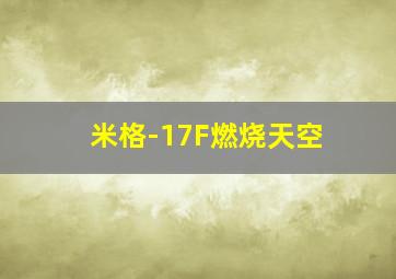 米格-17F燃烧天空