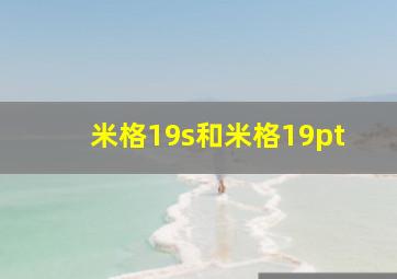 米格19s和米格19pt