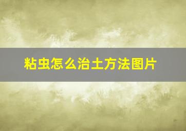 粘虫怎么治土方法图片