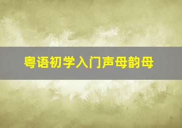 粤语初学入门声母韵母