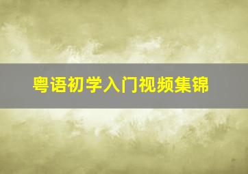 粤语初学入门视频集锦