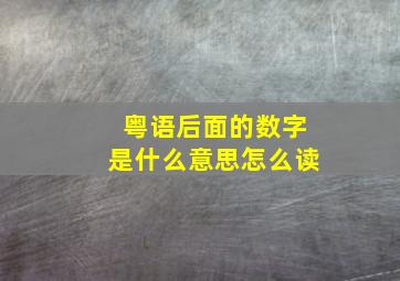 粤语后面的数字是什么意思怎么读