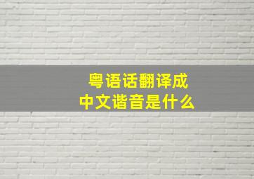 粤语话翻译成中文谐音是什么