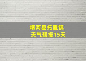 精河县托里镇天气预报15天