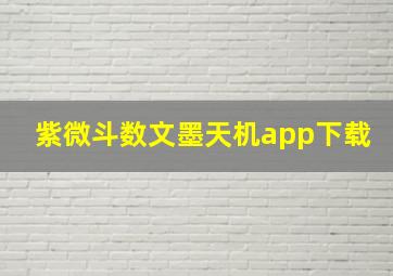 紫微斗数文墨天机app下载