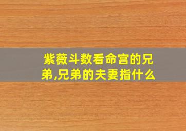 紫薇斗数看命宫的兄弟,兄弟的夫妻指什么