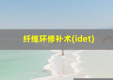 纤维环修补术(idet)