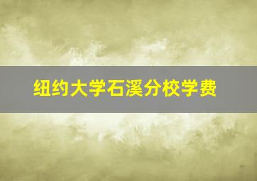 纽约大学石溪分校学费