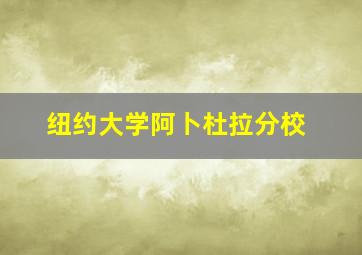 纽约大学阿卜杜拉分校