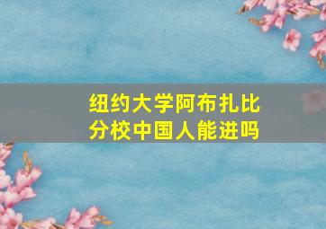 纽约大学阿布扎比分校中国人能进吗