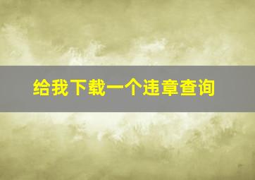 给我下载一个违章查询