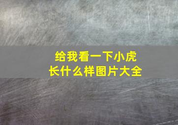 给我看一下小虎长什么样图片大全