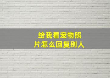 给我看宠物照片怎么回复别人