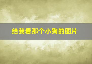 给我看那个小狗的图片