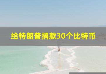 给特朗普捐款30个比特币