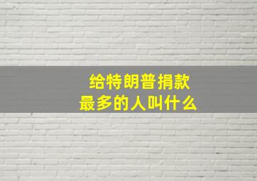 给特朗普捐款最多的人叫什么