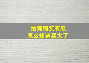 给狗狗买衣服怎么知道买大了