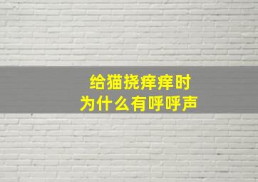 给猫挠痒痒时为什么有呼呼声