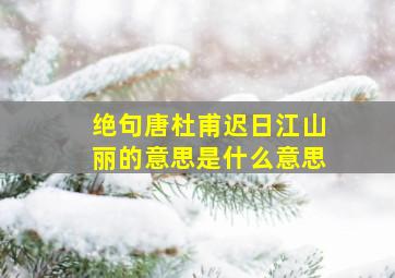 绝句唐杜甫迟日江山丽的意思是什么意思