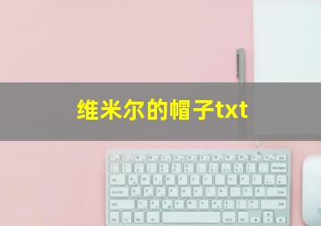 维米尔的帽子txt