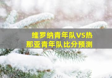 维罗纳青年队VS热那亚青年队比分预测