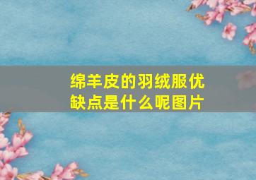 绵羊皮的羽绒服优缺点是什么呢图片