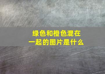 绿色和橙色混在一起的图片是什么