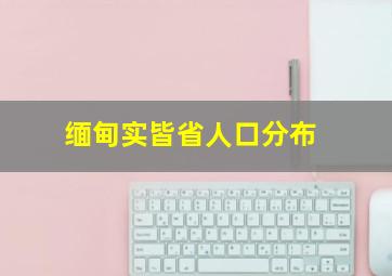 缅甸实皆省人口分布