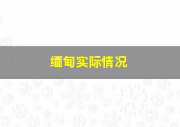 缅甸实际情况