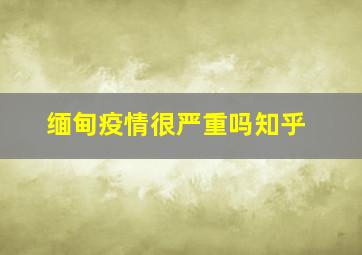 缅甸疫情很严重吗知乎