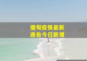 缅甸疫情最新通告今日新增