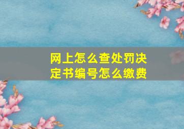 网上怎么查处罚决定书编号怎么缴费