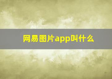 网易图片app叫什么