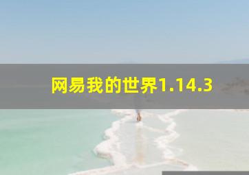 网易我的世界1.14.3