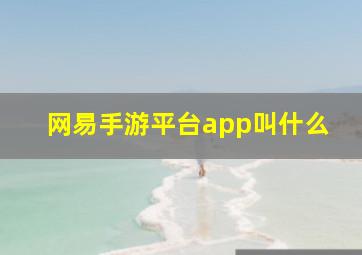 网易手游平台app叫什么