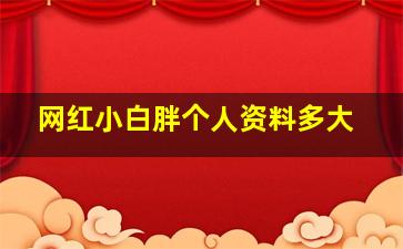 网红小白胖个人资料多大