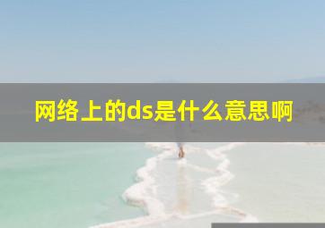 网络上的ds是什么意思啊