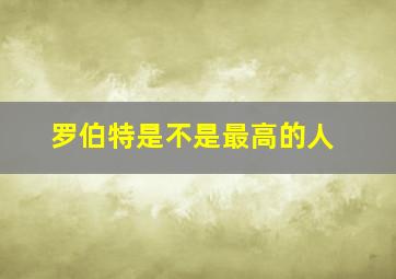 罗伯特是不是最高的人