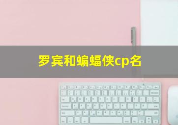 罗宾和蝙蝠侠cp名