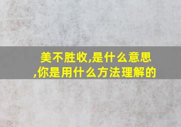 美不胜收,是什么意思,你是用什么方法理解的