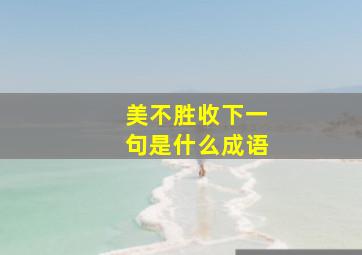 美不胜收下一句是什么成语