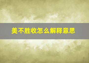 美不胜收怎么解释意思