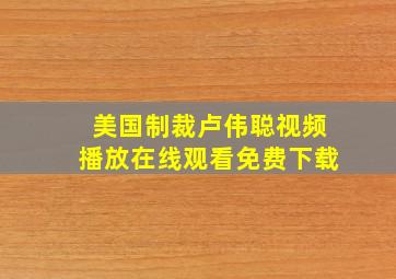 美国制裁卢伟聪视频播放在线观看免费下载