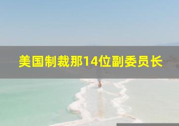 美国制裁那14位副委员长