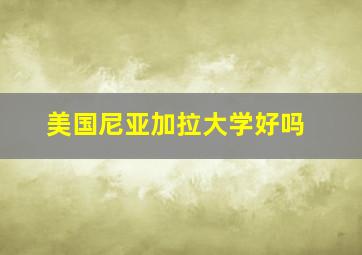 美国尼亚加拉大学好吗